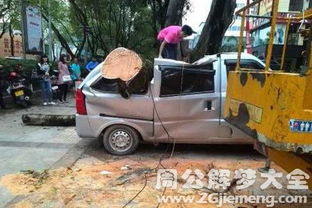 女人梦见蛇被车碾压，这梦境意味着什么？