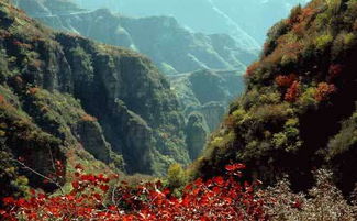 游玩体验：花钱找罪受