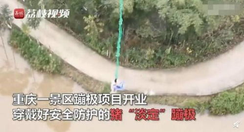 三、 景点游览：走马观花就好