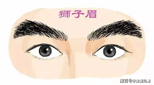 八字眉：真的如传说中那样财源广进吗？