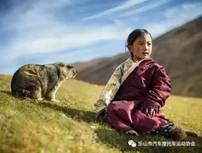 奇怪的较小插曲：鸟儿也加入了合唱团