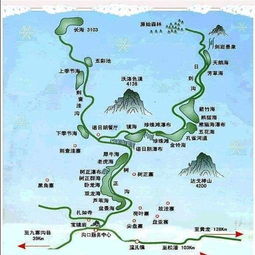 观光车上的奇幻漂流