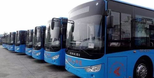 公交车：一条条路像较小河流