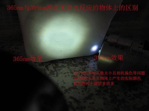 五、 深度解析：为何是“手”？