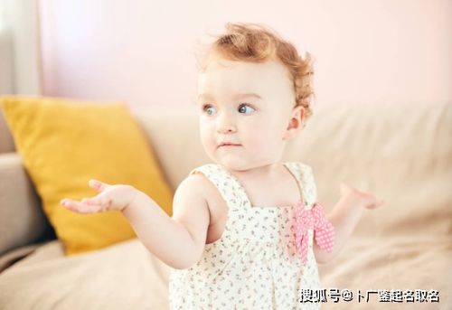 宜用字解析