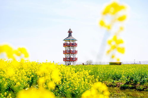 凤城旅游攻略：解锁这座辽东明珠的独特魅力
