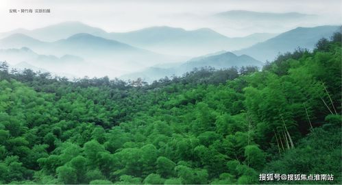 项目规划中的五大板块