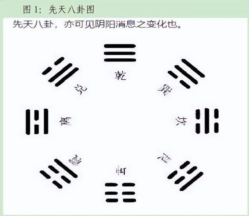 啊！用卦体卦这玩意儿简直比人生还复杂
