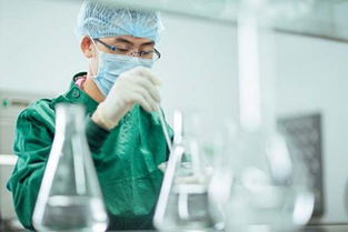被迫升级版技能树