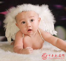 2026年薛姓兔年女孩名字有哪些推荐？