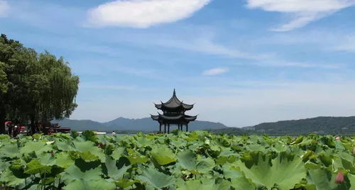 1. 深度文化之旅：寻找历史的足迹