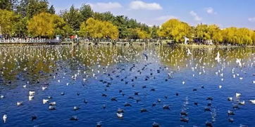 正义路地下商场的秘密：银佳银饰