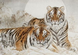 虎猴大战：那些年我们信过的生肖玄学