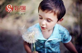 哎呀妈呀！叶家小少爷取名大作战！
