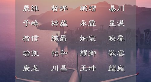 3. 风度翩翩型