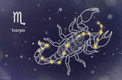 星座配对大揭秘！这些星座男简直绝了