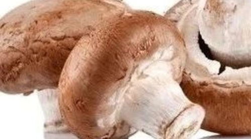第四章：科学研究探究背后的真实相