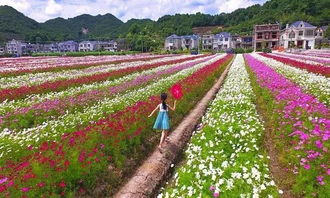 象山小湾塘：上帝打翻调色盘后偷偷藏起来的破地方