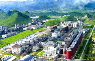 广西北流二中风水故事，覃先生改风水后效果如何？