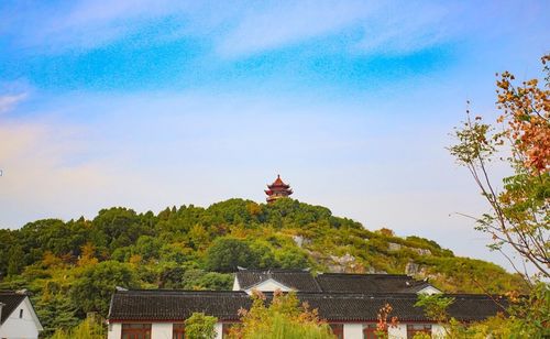 震惊！2026年去西山千万别摘橘子！太湖深处竟藏着惊天秘密