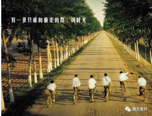 开放式的江滩公园：一个有点乱的地方