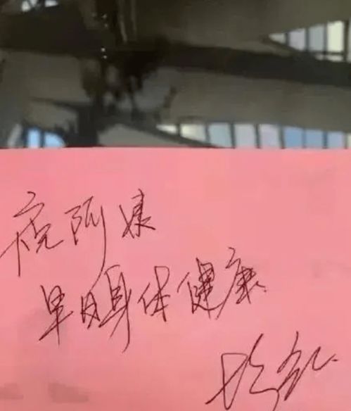 奶奶那辈:名字越土越