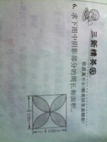 循规蹈矩的生肖是什么？这个成语代表哪个生肖？