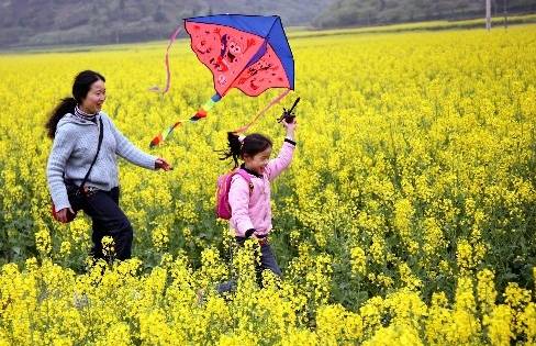 春意盎然长春邀你共赏花海