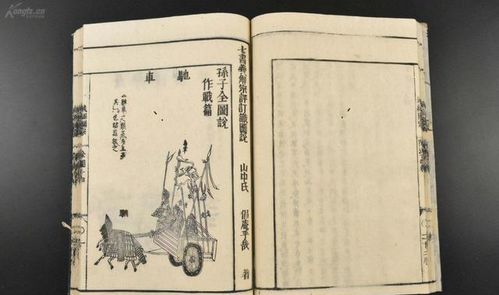 历史持续发展文化底蕴的传承