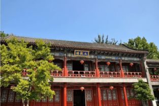 胡同里的发觉