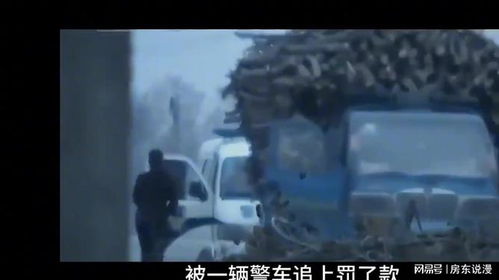 披着羊皮的狼：生肖里的玄机