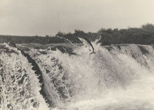 瀑布？那是血色的泪水！