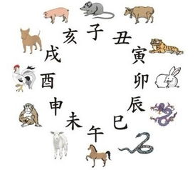 二、 事业持续发展——职场里的默契