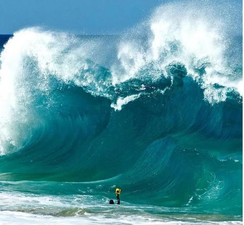 浪里个浪！史上最不正经的冲浪瞎BB指南