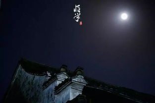 后续影响：失眠、食欲不振、以及对桐花的恐惧症