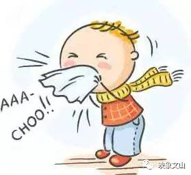 打喷嚏：一个看似平常的身体反应