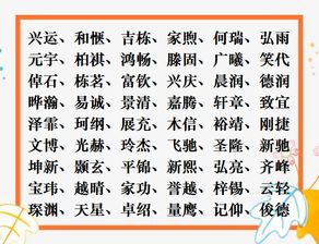 2026年狗年最旺男孩名字是什么？