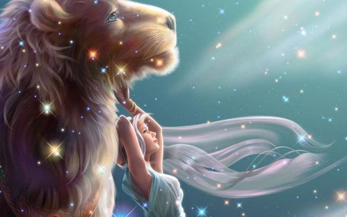 二、星座配方：从狮子到双鱼，你到底该怎么“抱”自己？