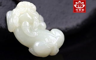 B1. 寻找正宗寺院与法师