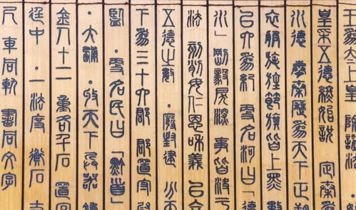 1.1 文正的标准是哪些？