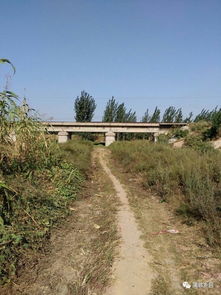 湾湾鬼影现与风水煞气