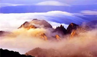 欢迎仪式：松枝摇摆的保密