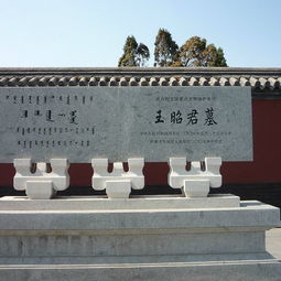免费？做梦去吧！