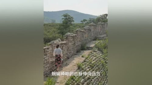 #灵异# 袜子与红军精神共振