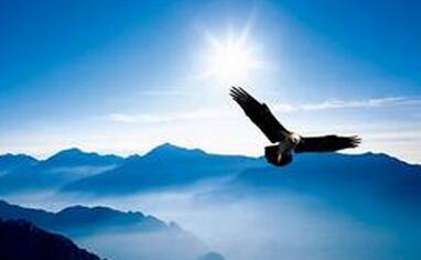 事业运上升是什么意思,事业正在上升期