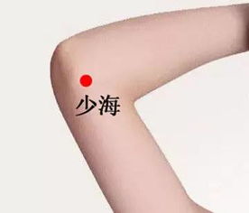 风水仰天穴和风水圆拱穴分别是什么类型的穴位？