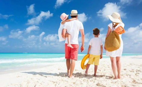 树屋探险——小小冒险家的秘密基地