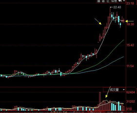 寅虎：虎啸山林遇伯乐，偏财星动但也得防贼