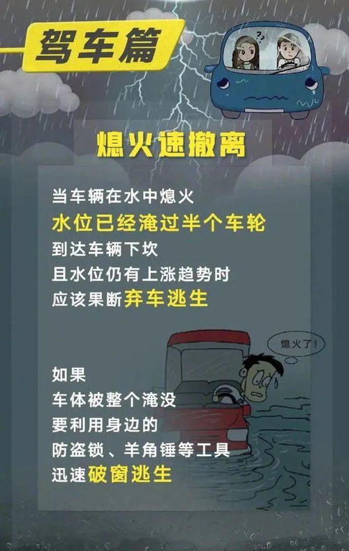6月17日「锦鲤附体日」