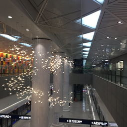 武汉天河国际机场：人山人海，热闹非凡